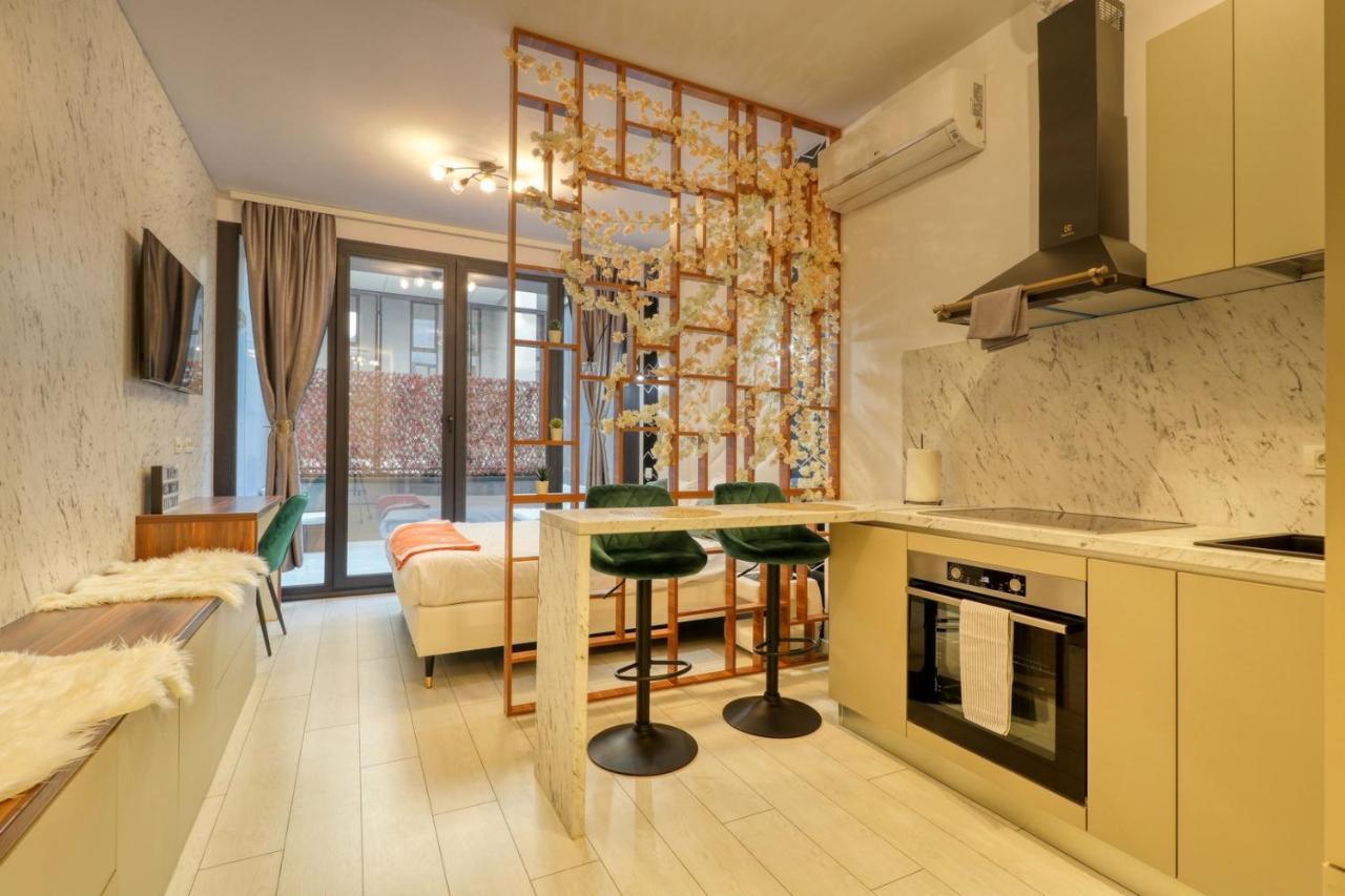 Herastrau Luxury Studios بوخارست المظهر الخارجي الصورة